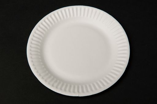 White Paper Plate